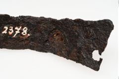 Foto von Eisenband (NHMW-PRAE-002378)